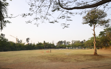 Sports Facilities